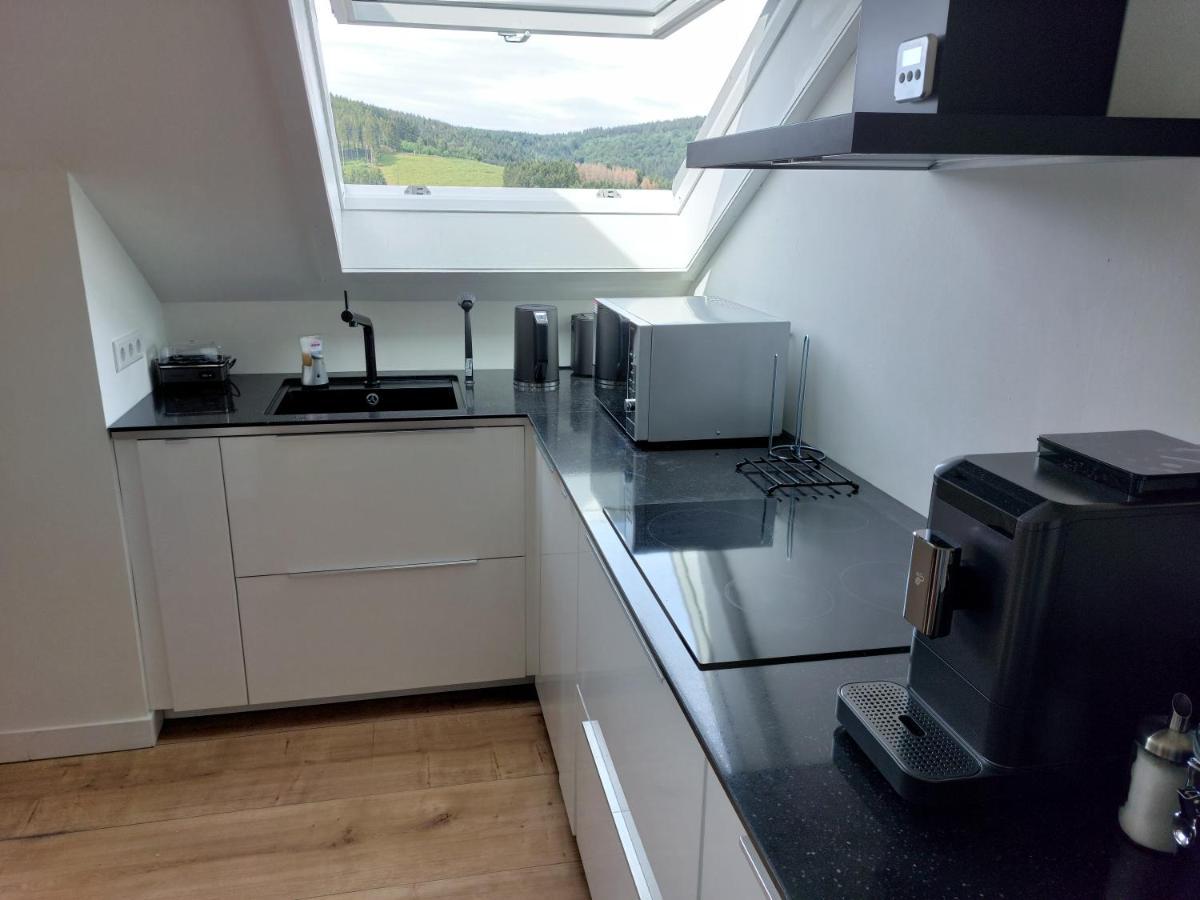 Ferienwohnung Suedhang Winterberg Zewnętrze zdjęcie