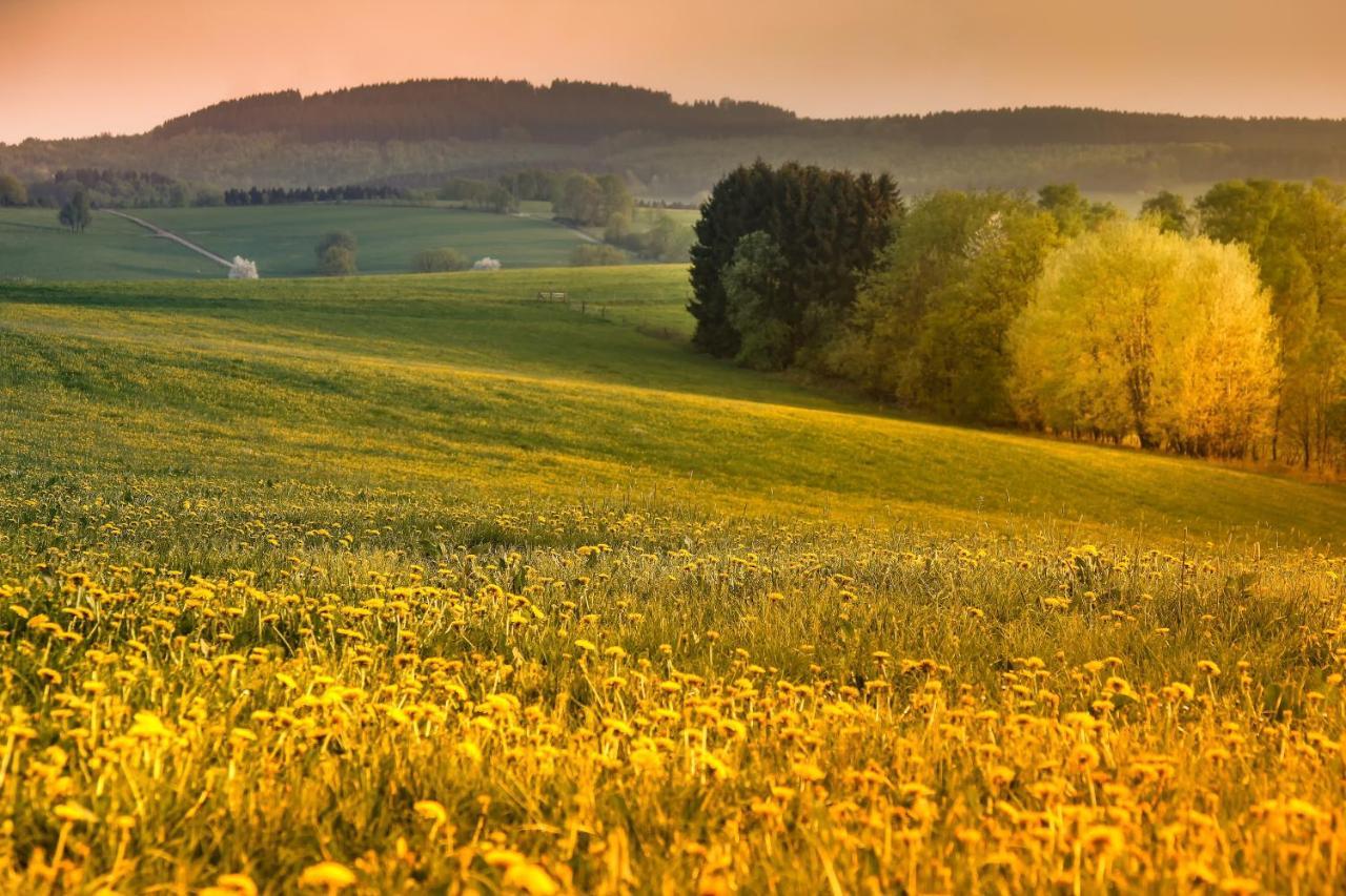 Ferienwohnung Suedhang Winterberg Zewnętrze zdjęcie