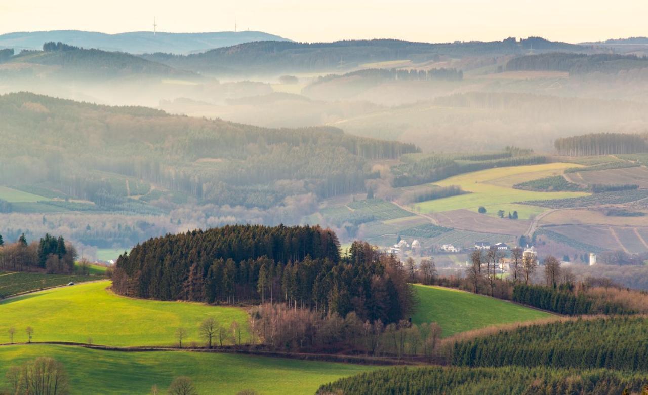 Ferienwohnung Suedhang Winterberg Zewnętrze zdjęcie