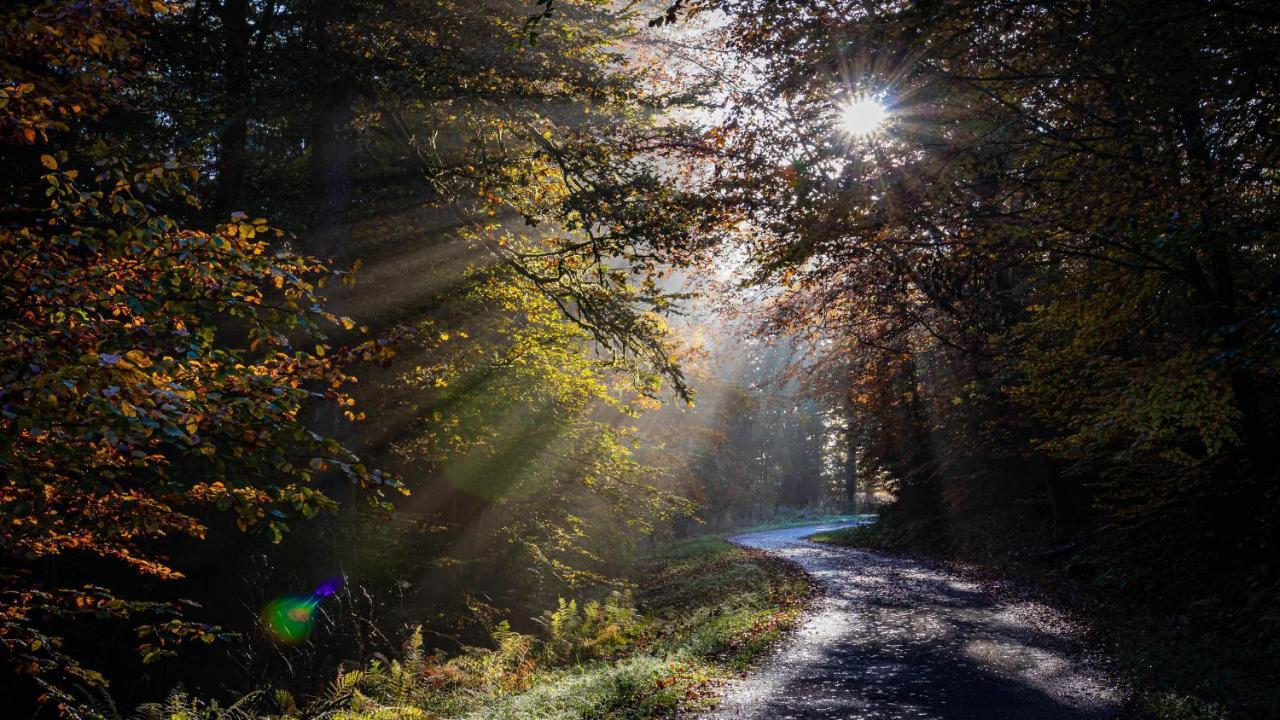 Ferienwohnung Suedhang Winterberg Zewnętrze zdjęcie