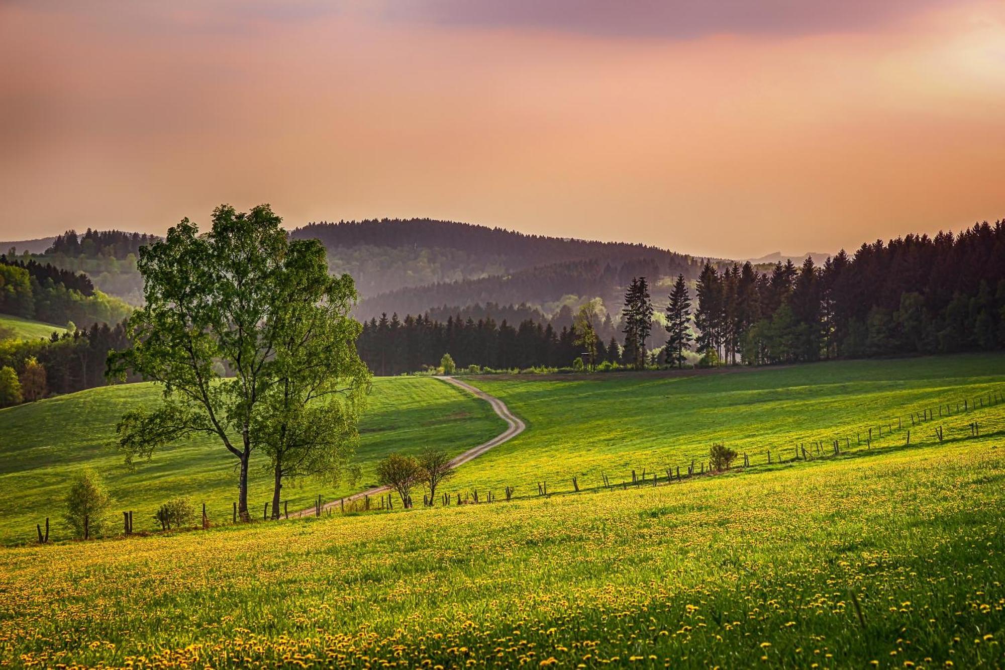 Ferienwohnung Suedhang Winterberg Zewnętrze zdjęcie
